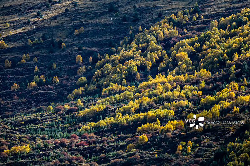 高原秋色图片素材