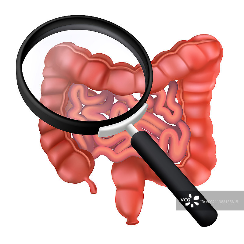 放大镜下逼真的人体肠道图片素材