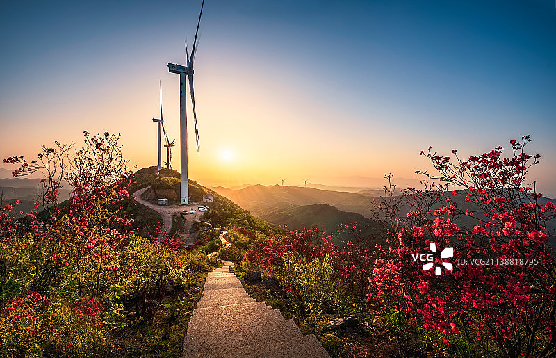 朝霞映花图片素材