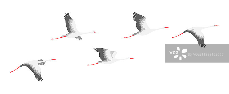 飞行鹳鸟群简笔画图片素材