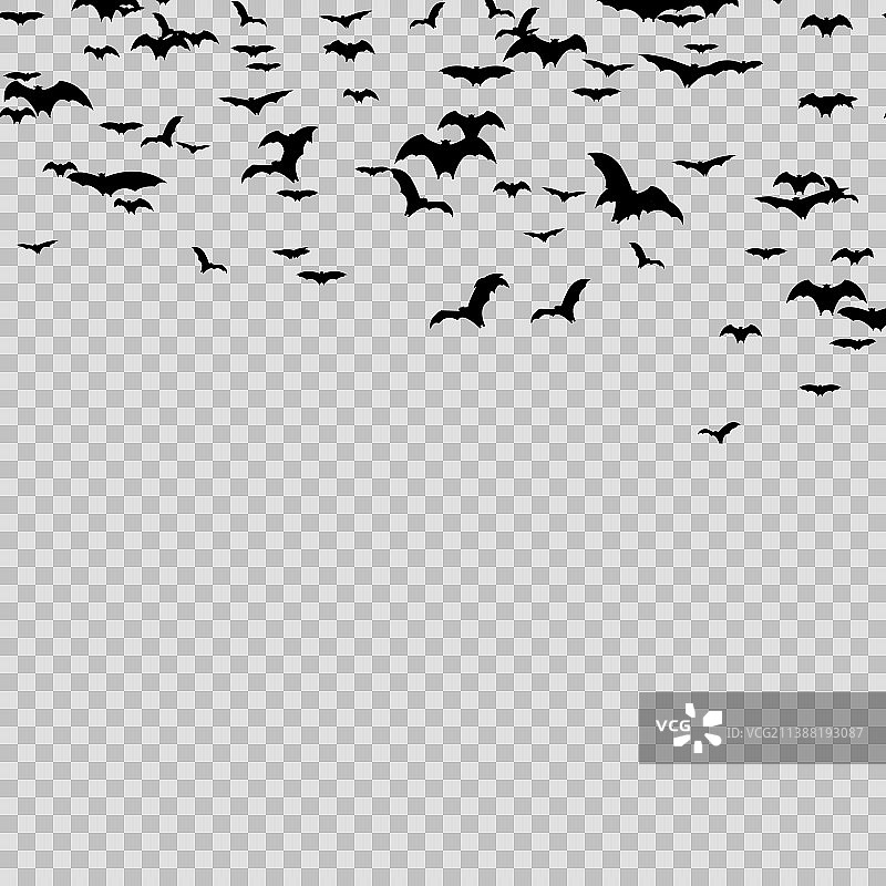 万圣节黑色蝙蝠透明背景图片素材