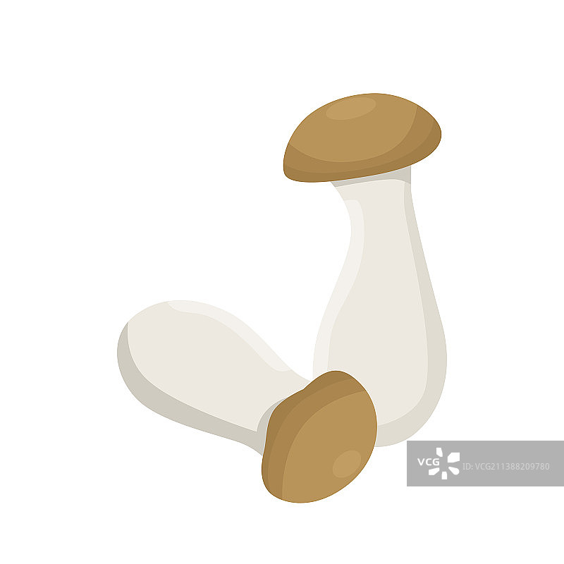 杏鲍菇扁平风格图片素材