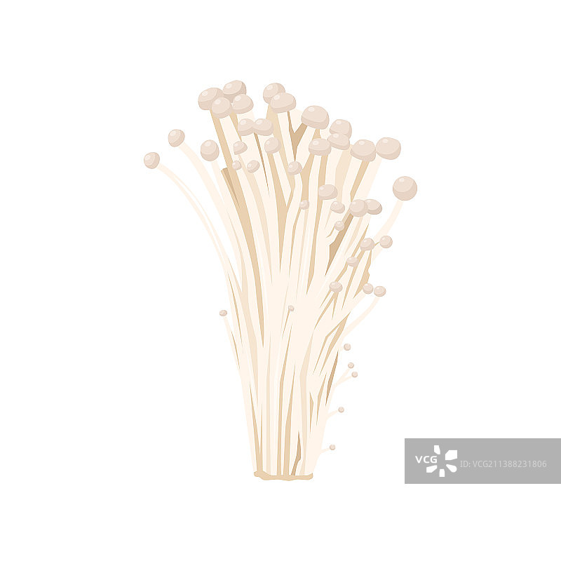 白色背景下的扁平风格金针菇图片素材
