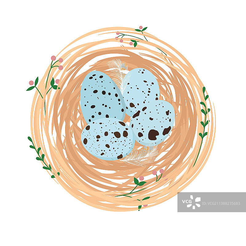 鸟巢与鸟蛋图片素材