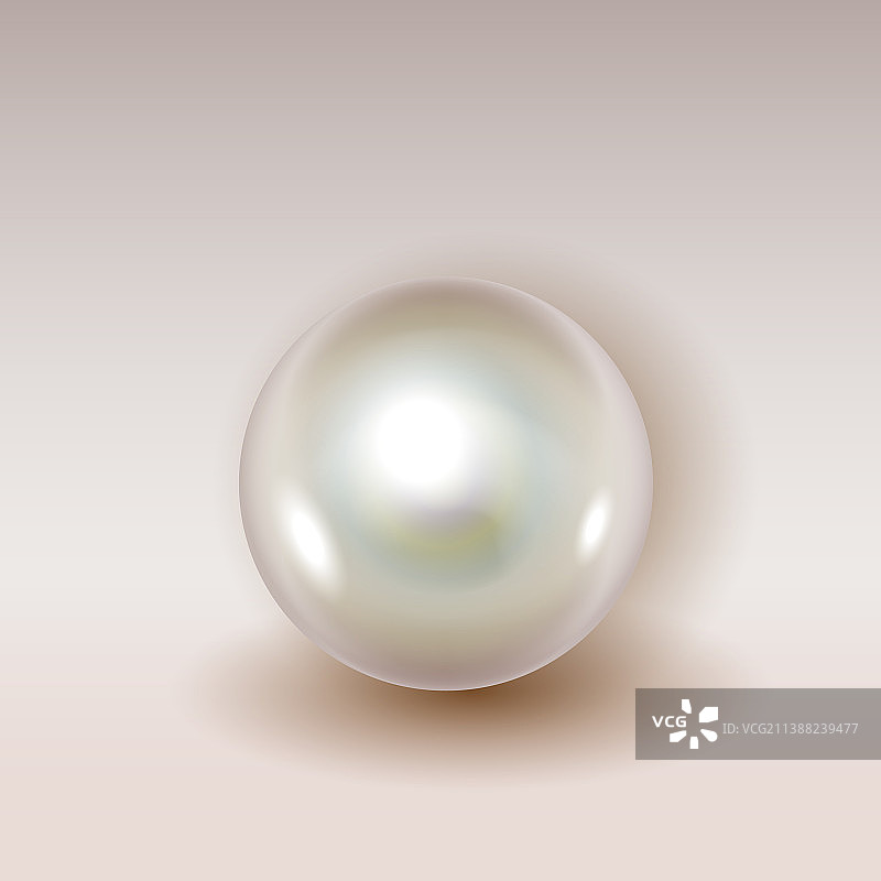 逼真闪亮天然白色海牡蛎珍珠图片素材