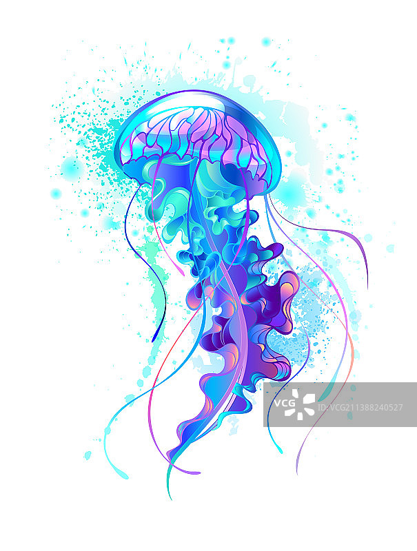 大蓝色水母图片素材