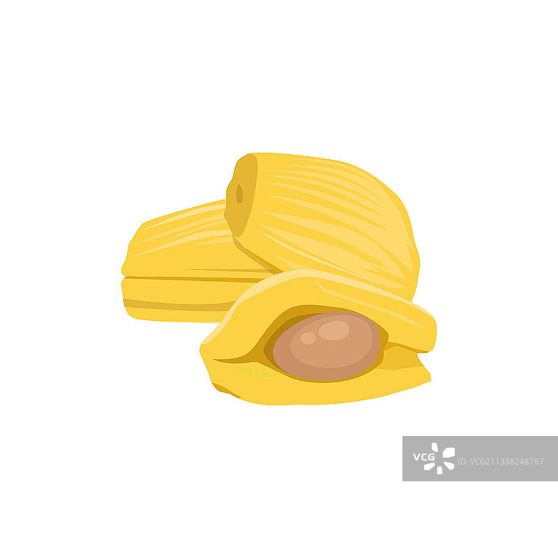 白色背景上孤立的扁平菠萝蜜图片素材