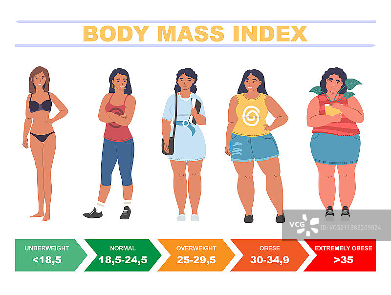 女性BMI身体质量指数图表图片素材