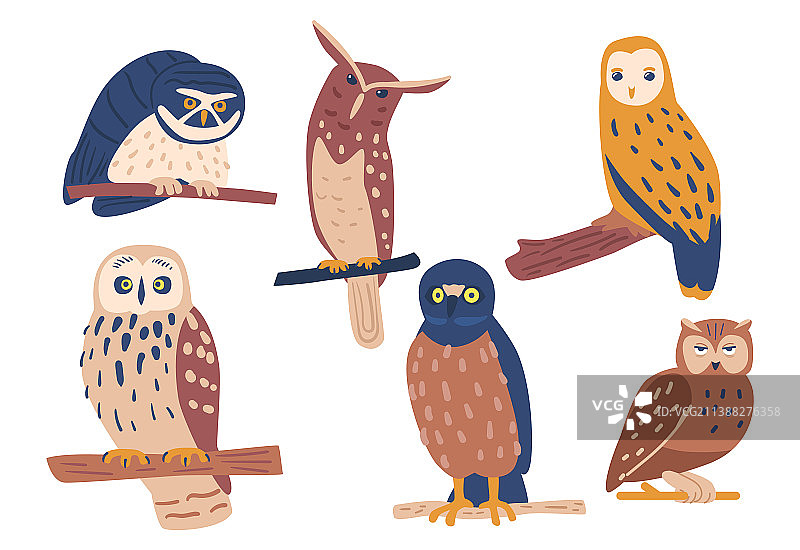 可爱的斯堪的纳维亚风格猫头鹰合集图片素材