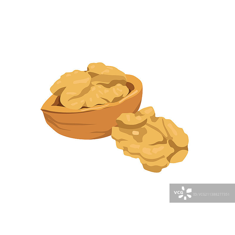 白色背景上的核桃扁平设计图片素材