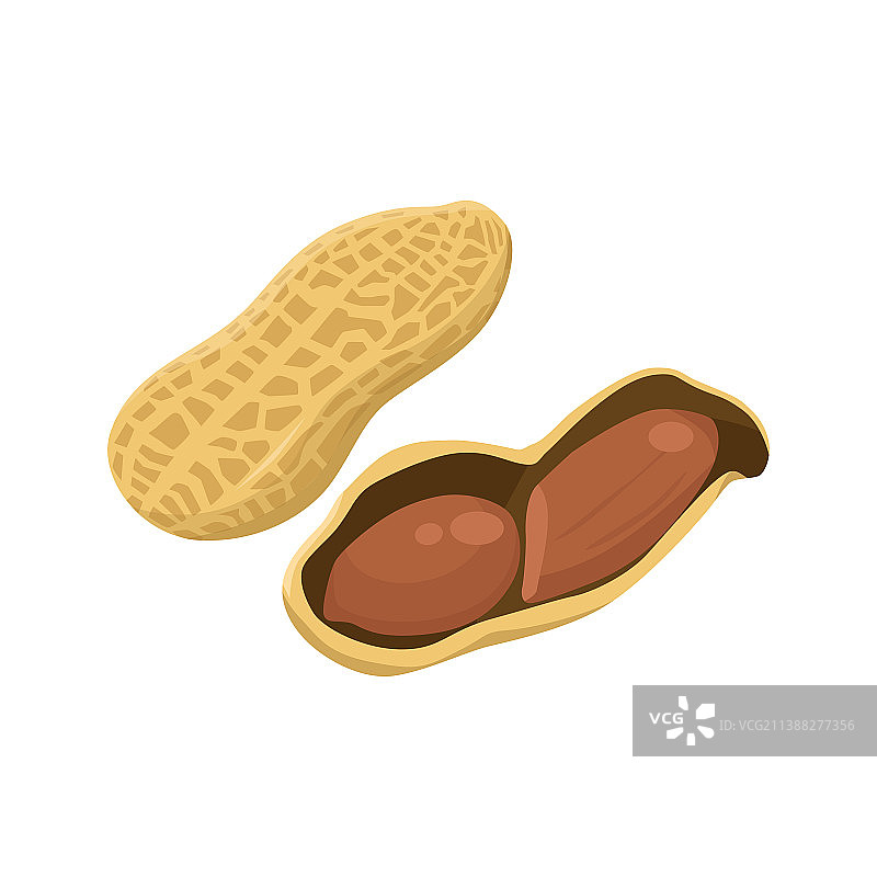 白色背景上的花生扁平风照片图片素材