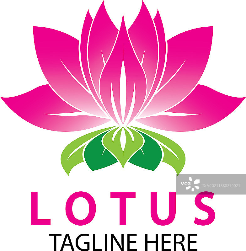 莲花水疗瑜伽酒店设计图片素材