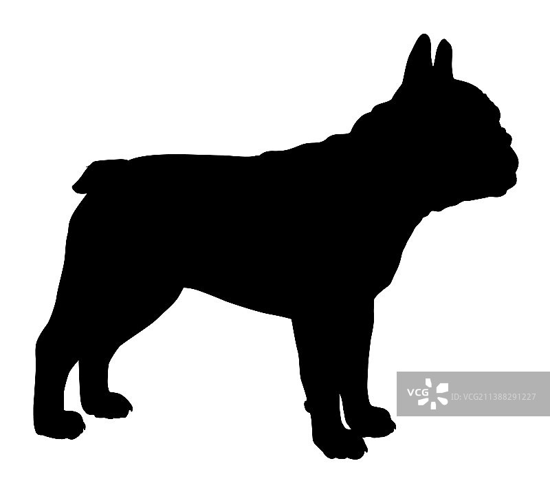 法国斗牛犬轮廓图片素材