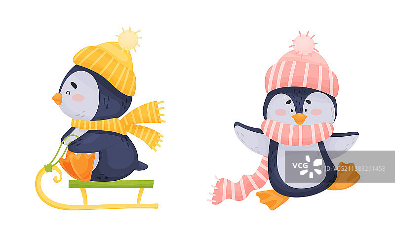 戴帽子和围巾的可爱企鹅图片素材