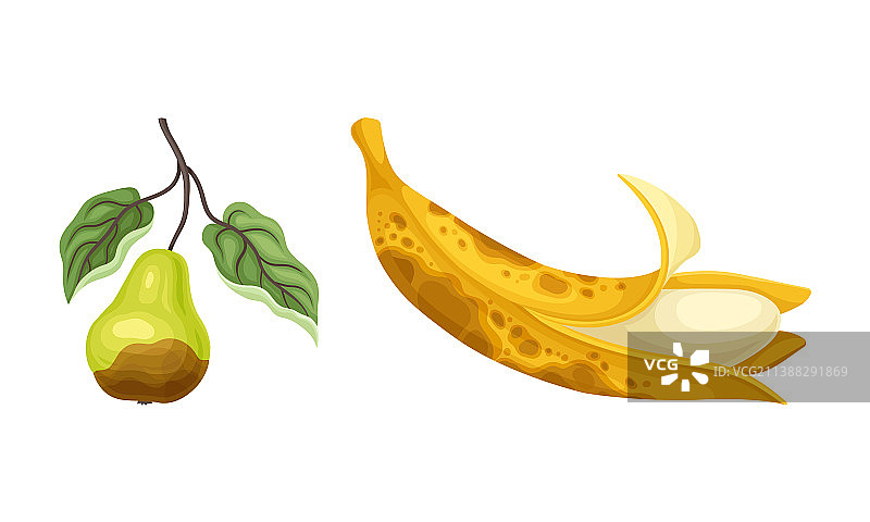 分解的恶臭腐烂水果与梨图片素材