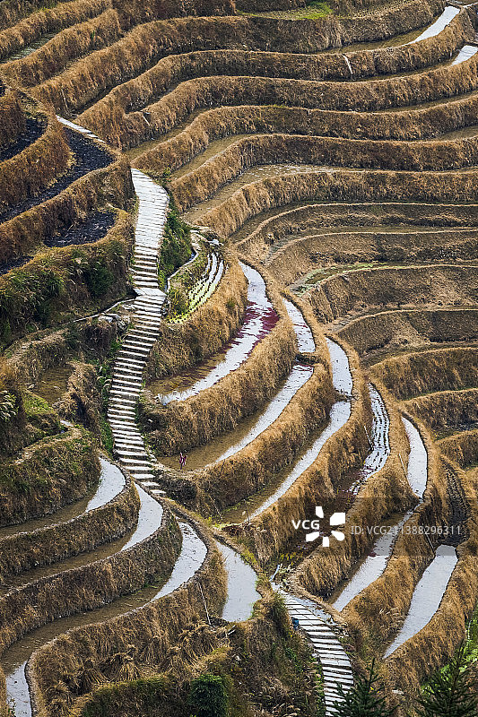 梯田小道图片素材