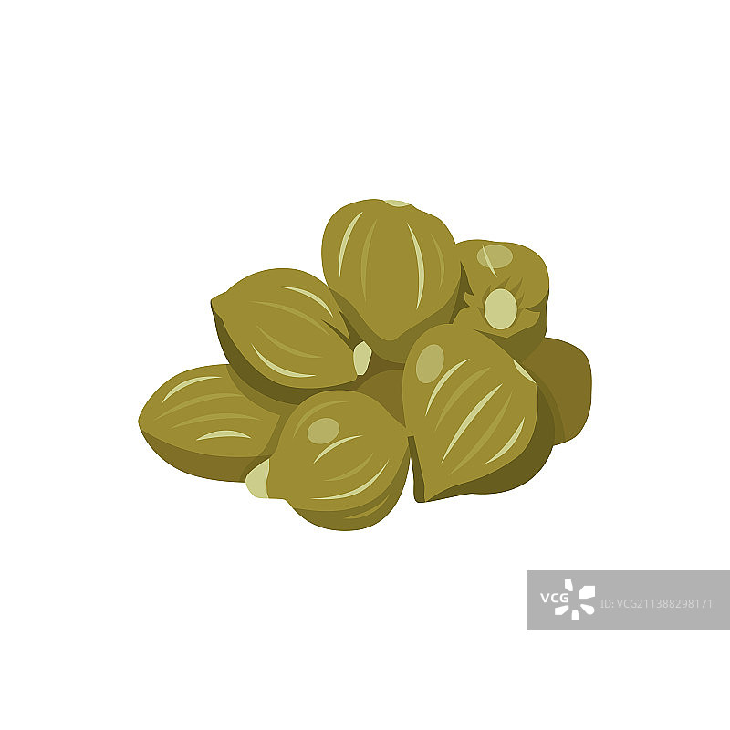 扁平风格的水瓜柳图片素材