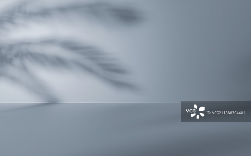 植物影子白色广告背景墙树影图片素材