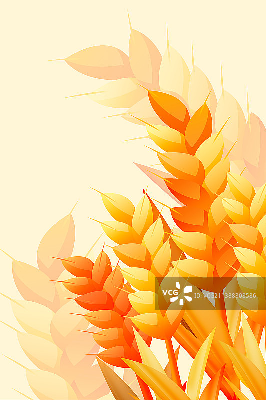 丰收植物麦穗图片素材