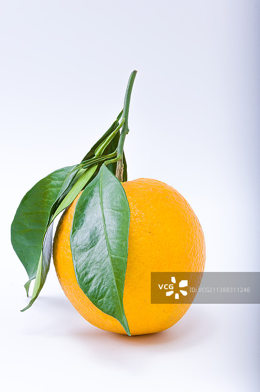 棚拍有机新鲜的橙子图片素材