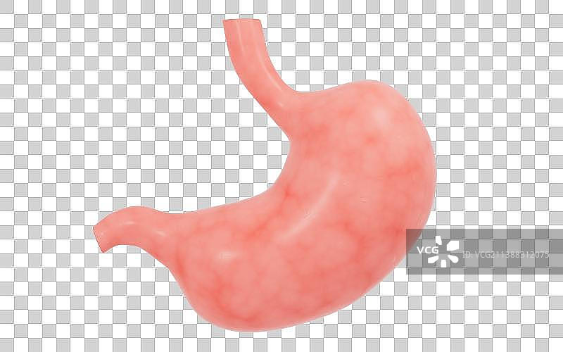 创意胃部背景3D渲染图片素材