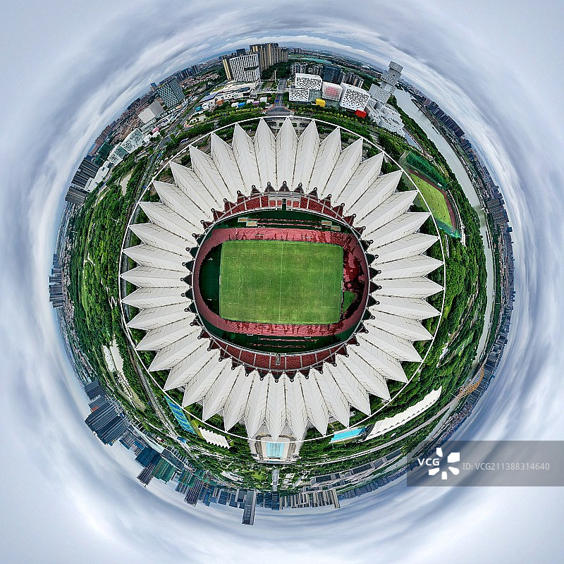 世纪莲图片素材