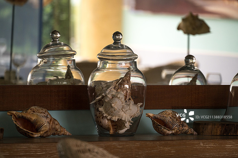 屋子里的玻璃瓶子中的海螺作为装饰图片素材