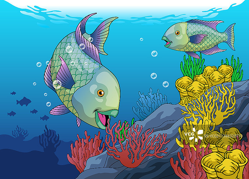 珊瑚生态系统中可爱的鹦鹉鱼图片素材
