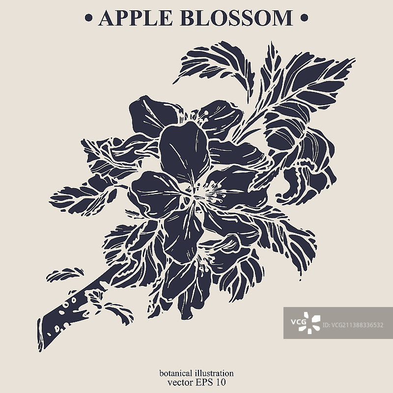 手绘苹果花图片素材