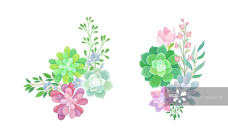 多肉植物花束摆件图片素材