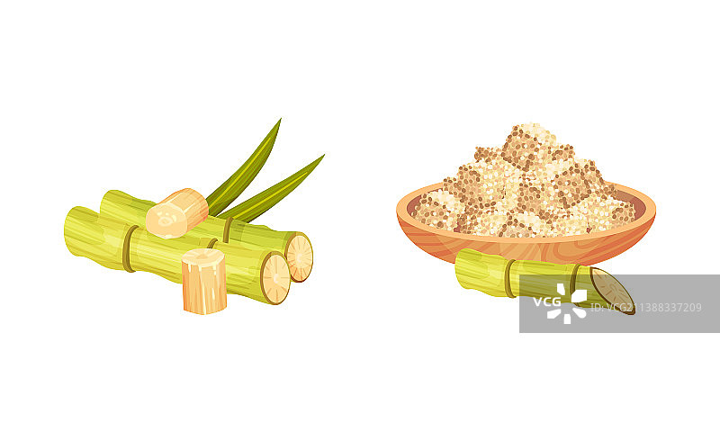 甘蔗纤维茎和碗里的方糖图片素材