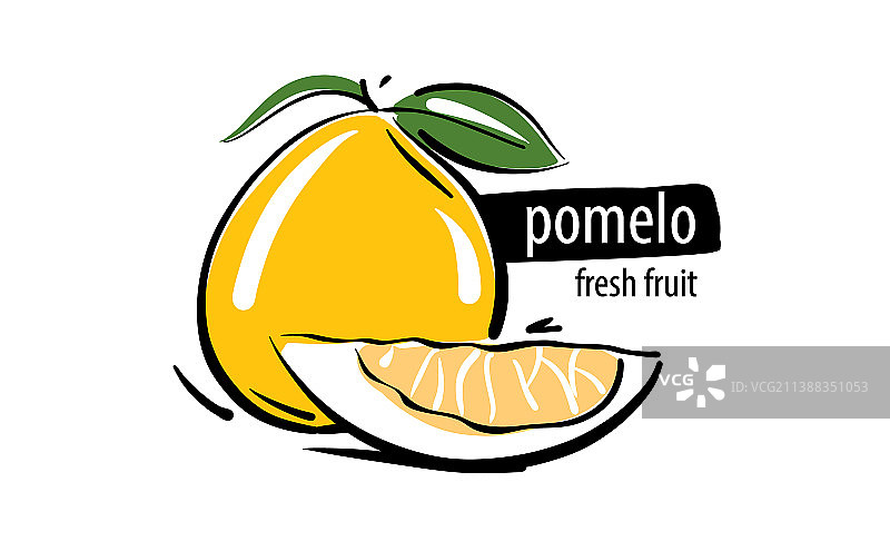 白色背景上手绘的柚子图片素材