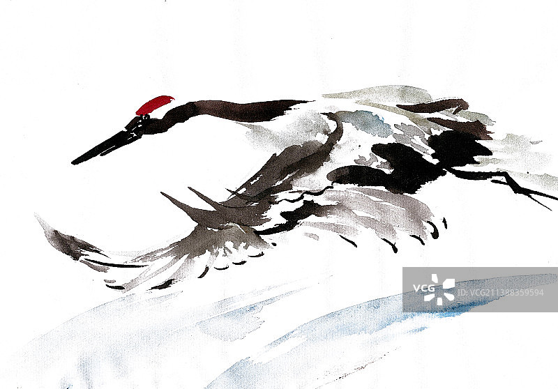 飞翔的丹顶鹤图片素材