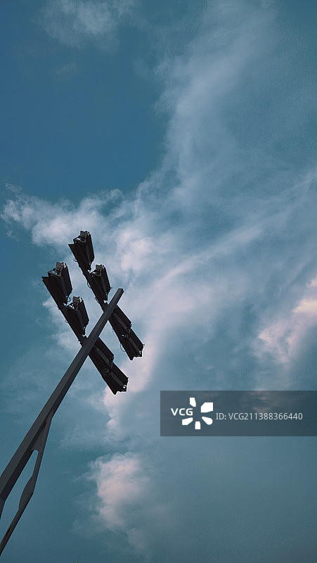 青蛙跳跃图片素材