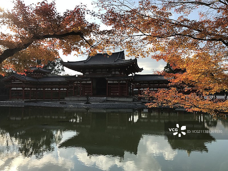 京都  寺院  建筑  枫叶  自然图片素材