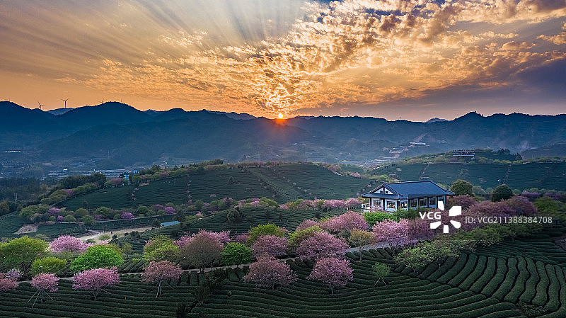 樱花园图片素材