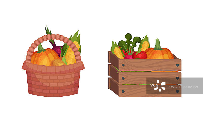 装满新鲜蔬菜的篮子和木箱图片素材