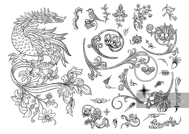 中世纪手稿花卉图案图片素材