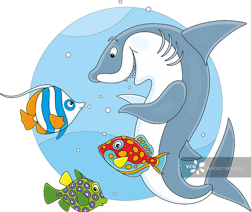 与热带鱼嬉戏的有趣鲨鱼图片素材