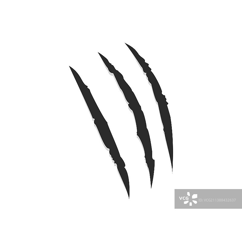 白色背景上猫的抓痕图片素材