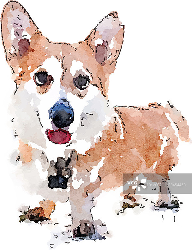 水彩风格柯基犬图片素材