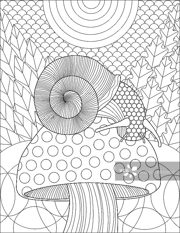 雨后蘑菇上的蜗牛图片素材