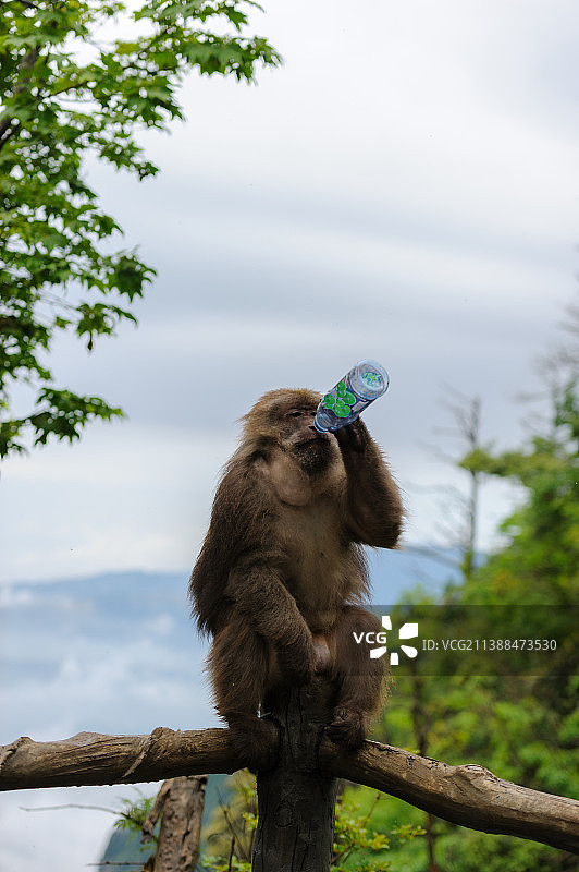 峨眉路边图片素材