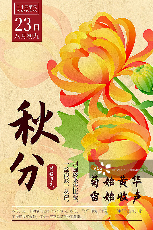 二十四节气新中式植物海报-16秋分-菊花图片素材