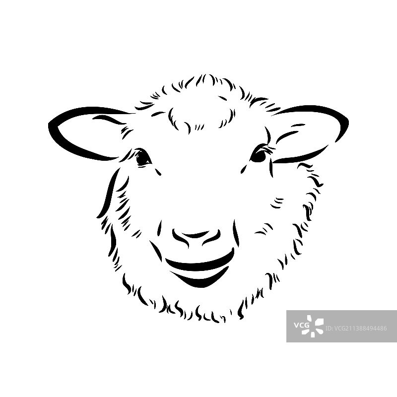 黑色绵羊手绘素描图片素材