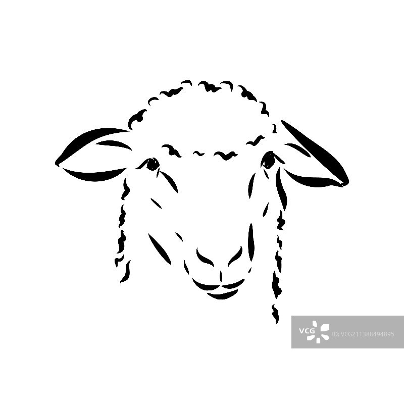 黑色绵羊手绘素描图片素材
