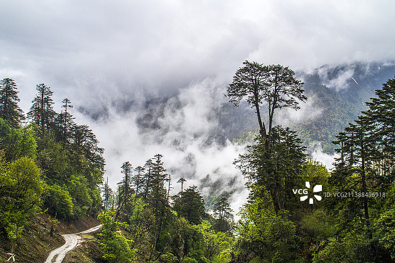 丙察察---丙中洛云岭孔雀山风光图片素材