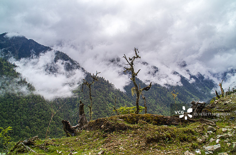 丙察察---丙中洛云岭孔雀山风光图片素材