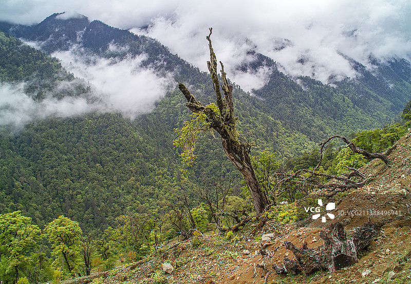 丙察察---丙中洛云岭孔雀山风光图片素材