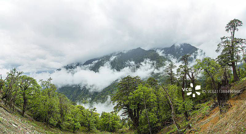 丙察察---丙中洛云岭孔雀山风光图片素材
